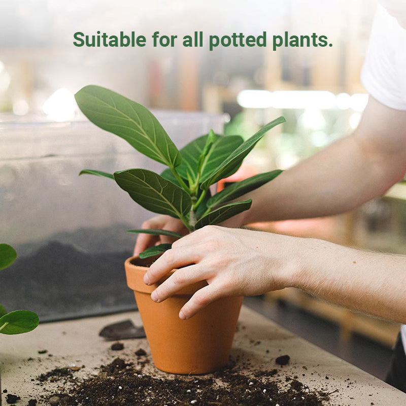 Plant Slow-release Stick Organic Fertilizer