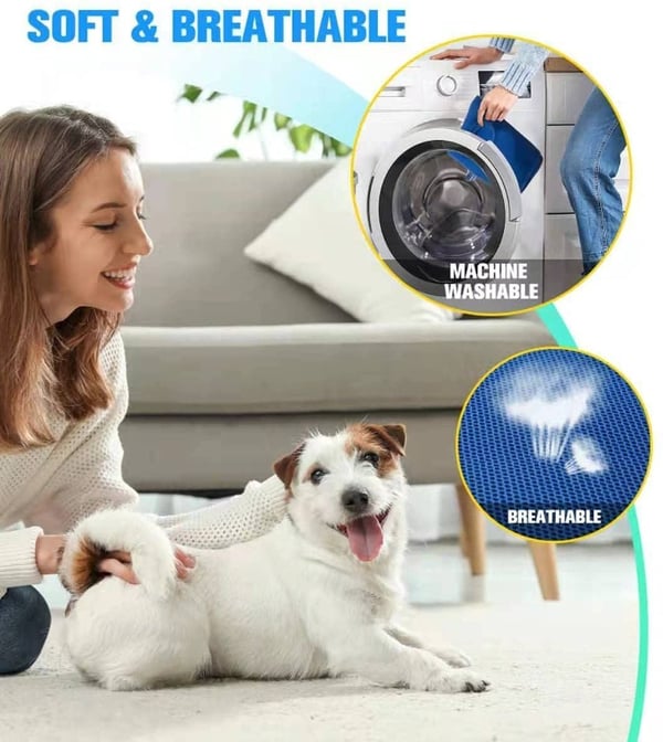 🐕Pet Grooming Hammock 🐱(Free Beauty Tool Package)🐕