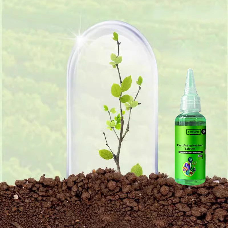 🔥Fast-Acting Nutrient Solution for Plants