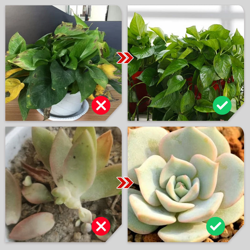 Plant Slow-release Stick Organic Fertilizer