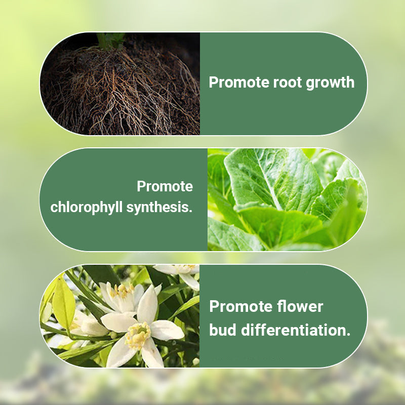 Plant Slow-release Stick Organic Fertilizer