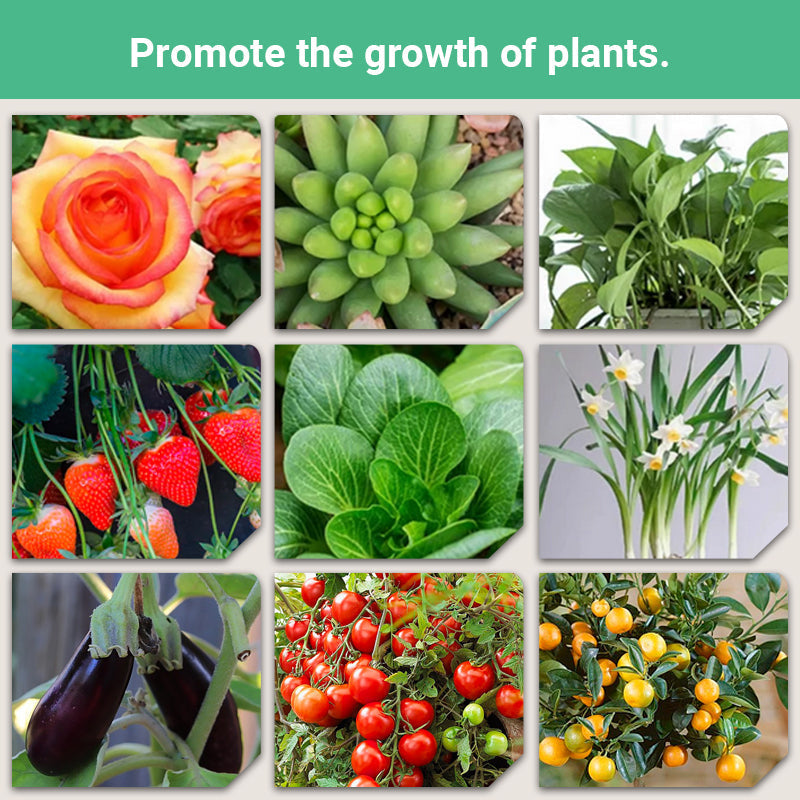 Plant Slow-release Stick Organic Fertilizer