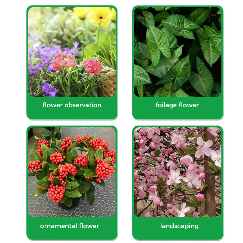 🔥Rapid Rooting And Flowering Powder(50% OFF)