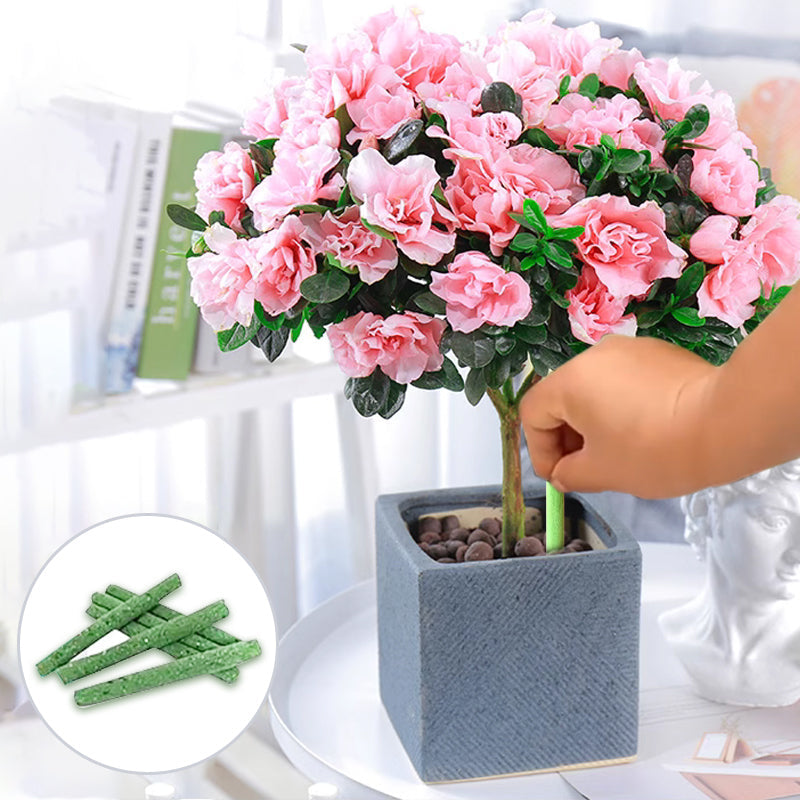 Plant Slow-release Stick Organic Fertilizer