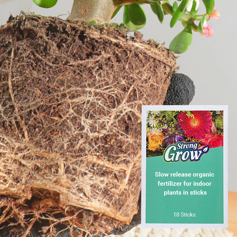 Plant Slow-release Stick Organic Fertilizer