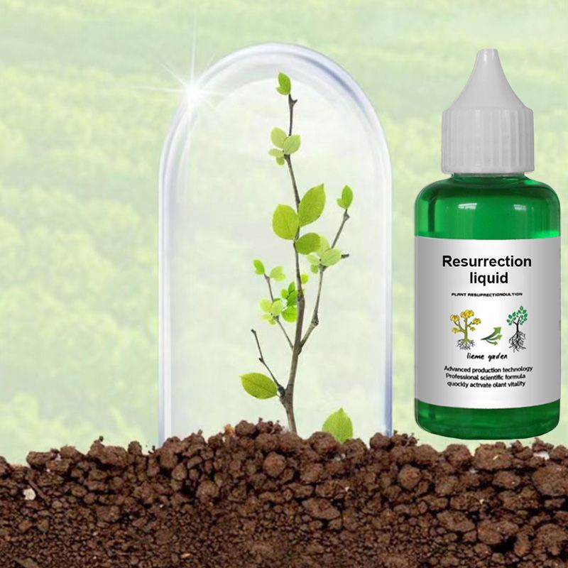👍🌿Plant and Flower Activation Liquid Solution