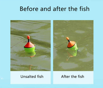 🐟High Sensitivity Intelligent Auto Fishing Float