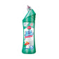 2-in-1 Scrub-Free Toilet Cleaner
