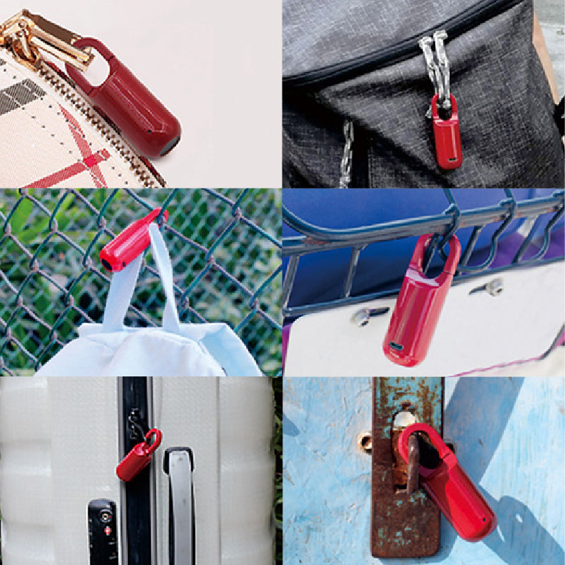 Mini Fingerprint Padlock