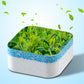 Powerful Washing Machine Cleaner - 12 Tablets