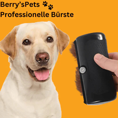 💥Pet🐕Professional Brush