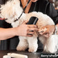 💥Pet🐕Professional Brush