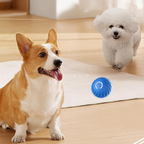 Active Rolling Ball Anti-Anxiety Automatic Moving Ball