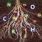 🔥Fast-Acting Nutrient Solution for Plants