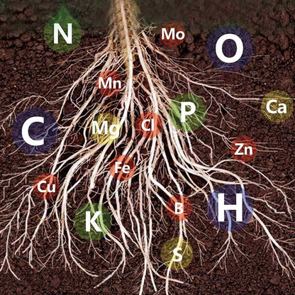 🔥Fast-Acting Nutrient Solution for Plants