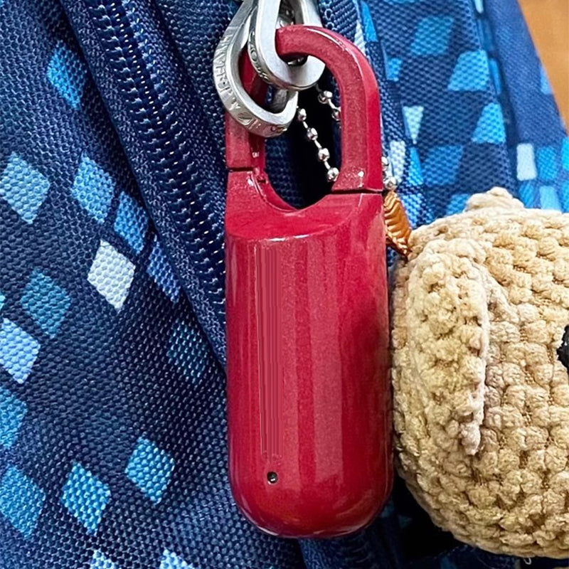 Mini Fingerprint Padlock