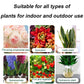 👍🌿Plant and Flower Activation Liquid Solution