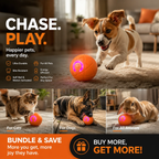 🐾 AUTO-BOUNCING SMART PET BALL WITH REMOTE CONTROL— 3 Interactive Modes | Chew-Resistant E-TPU | USB-C Rechargeable 🎾