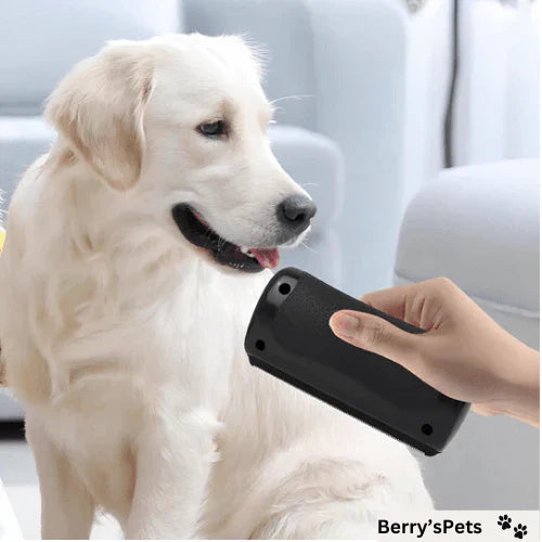 💥Pet🐕Professional Brush