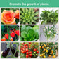 Plant Slow-release Stick Organic Fertilizer