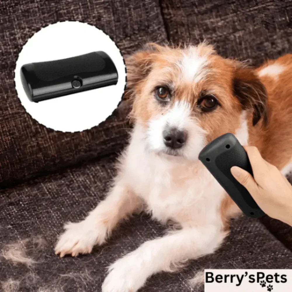 💥Pet🐕Professional Brush
