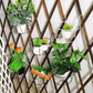 New Hanging Baskets Flower Pot Stand Thicker and Sturdier