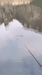 🐟High Sensitivity Intelligent Auto Fishing Float