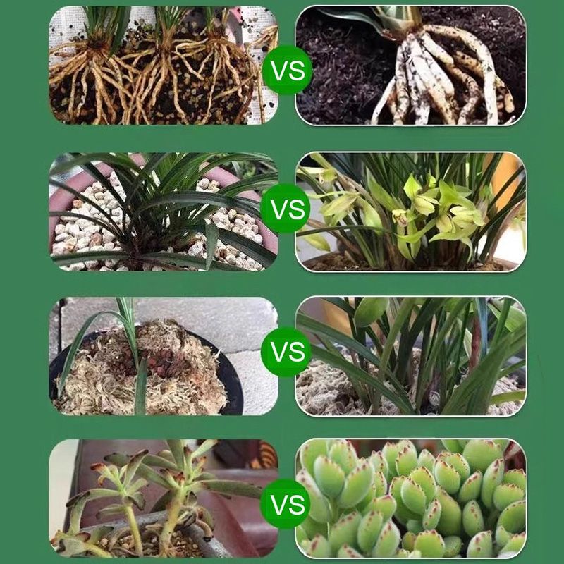 👍🌿Plant and Flower Activation Liquid Solution