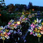 🦋Solar Outdoor Butterfly Lights💐