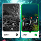 3 Hooks Anti Drift Bottom Fishing Rig