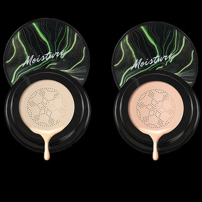 Natural Finish Coverage Powder Foundation