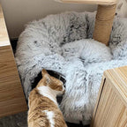 2-in-1 Foldable Indoor Soft Round Cat Tunnel Bed