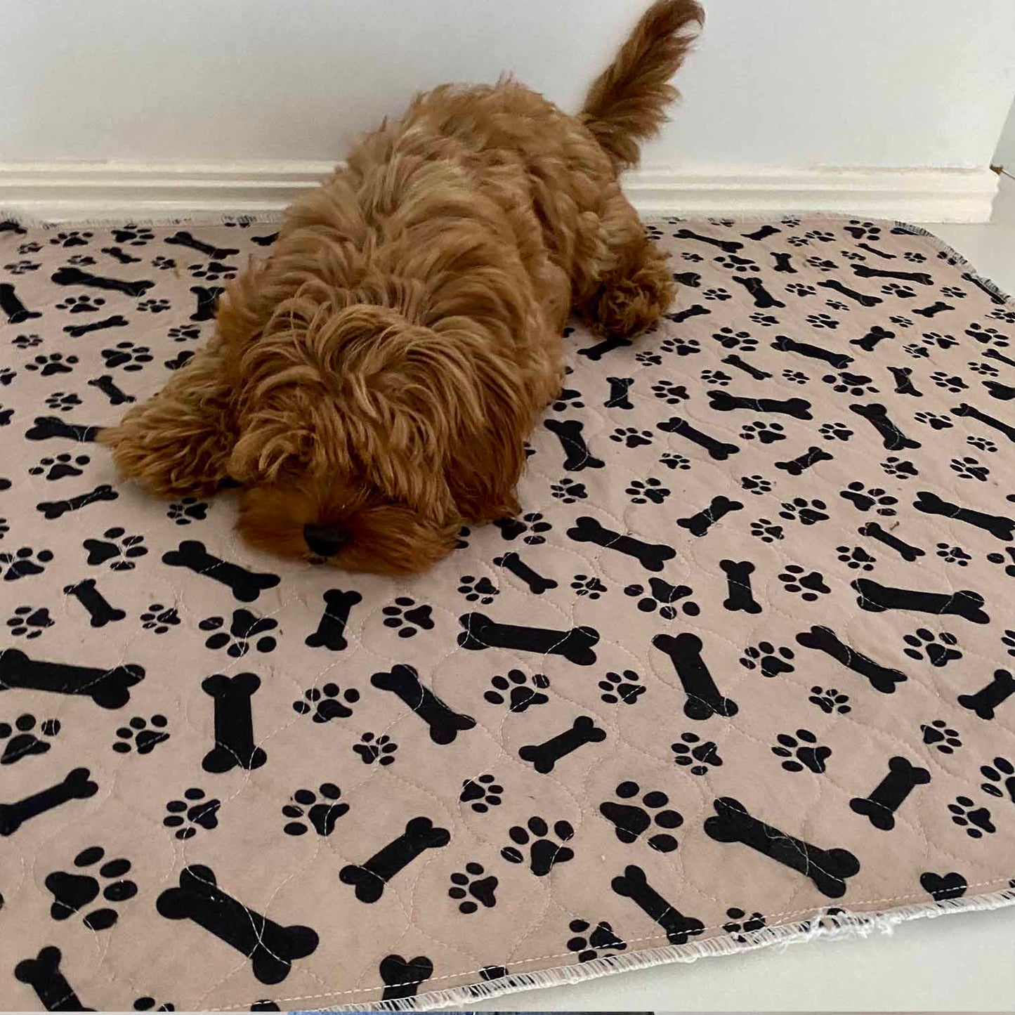 🐶😸Premium Reusable Super Absorbent PuppyPad🐾 (Kitten & Other Pets)
