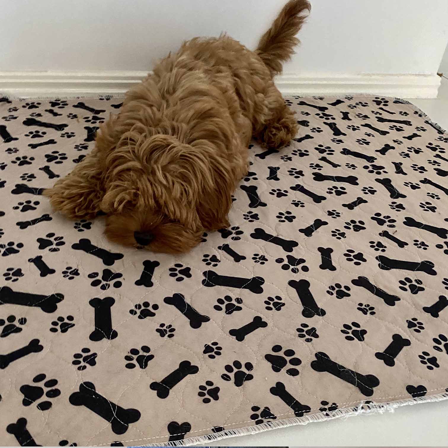 🐶😸Premium Reusable Super Absorbent PuppyPad🐾 (Kitten & Other Pets)