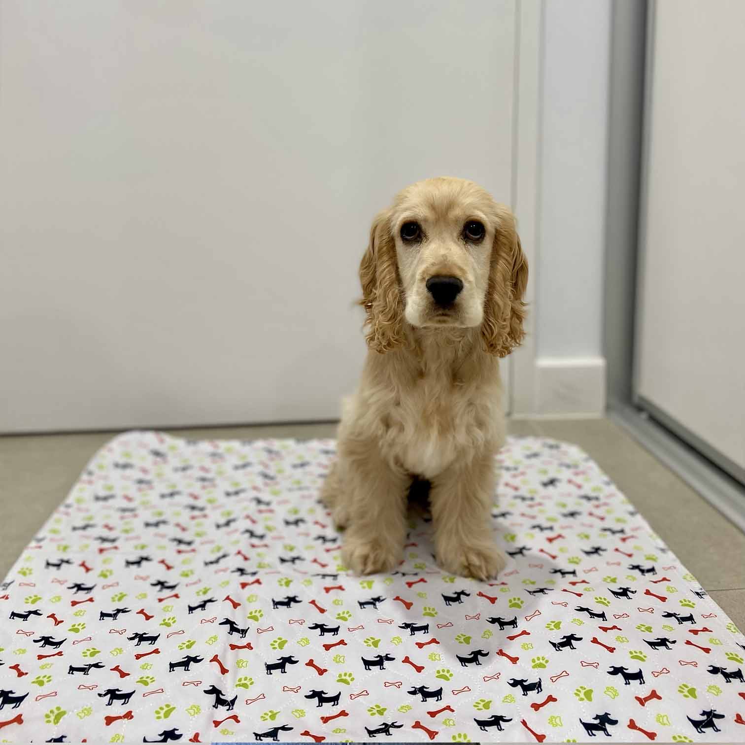🐶😸Premium Reusable Super Absorbent PuppyPad🐾 (Kitten & Other Pets)