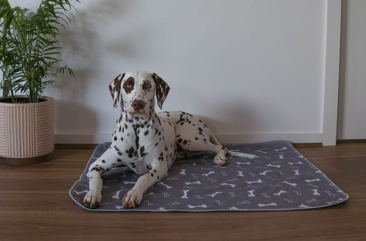 🐶😸Premium Reusable Super Absorbent PuppyPad🐾 (Kitten & Other Pets)