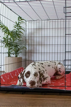 🐶😸Premium Reusable Super Absorbent PuppyPad🐾 (Kitten & Other Pets)