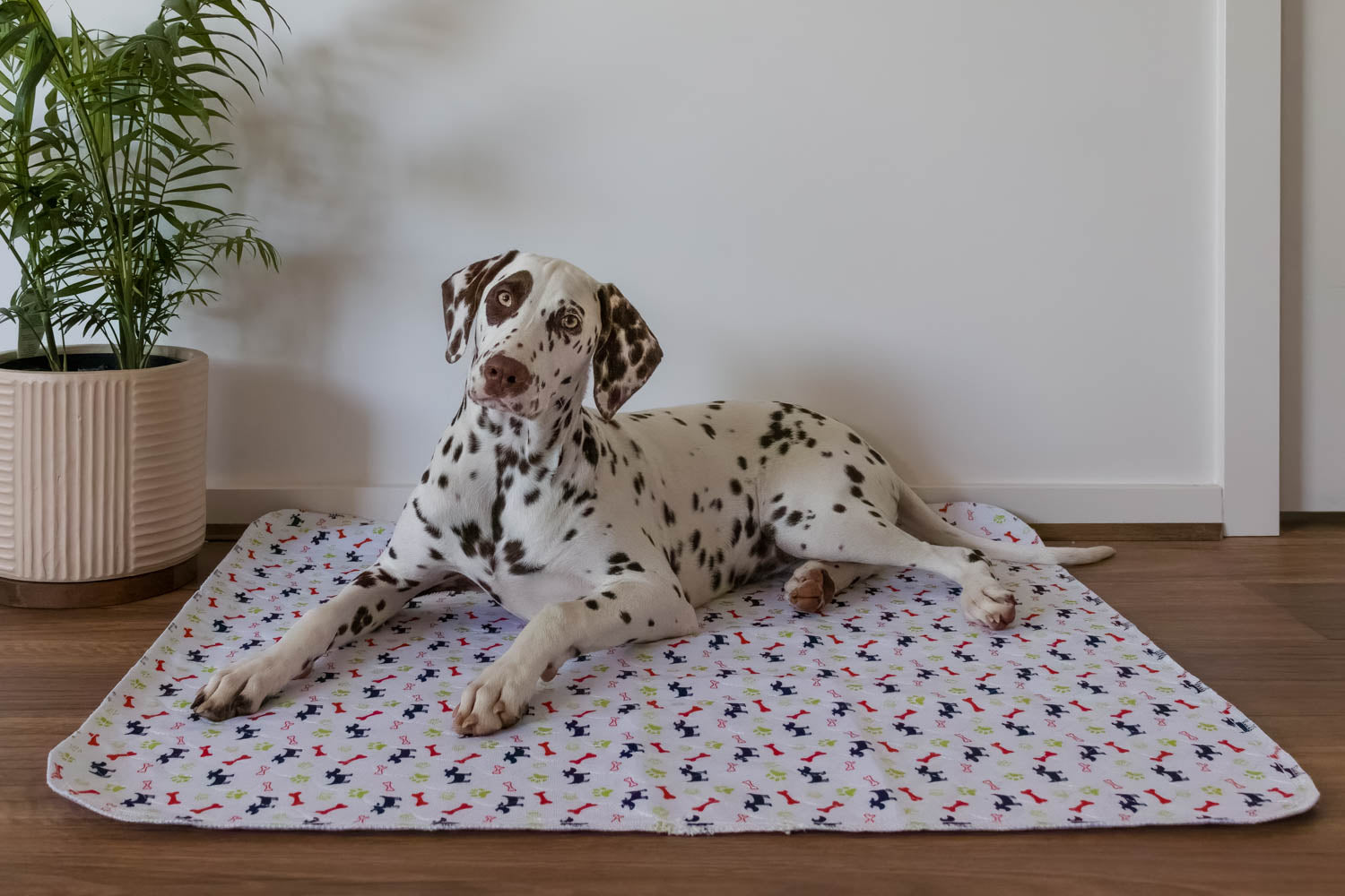🐶😸Premium Reusable Super Absorbent PuppyPad🐾 (Kitten & Other Pets)
