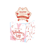 Valentine's Day Surprise Money Pull-Out Gift Box