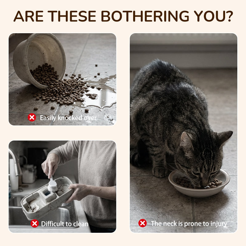 🐾 Anti-Slip Elevated 3-Bowl Pet Feeder! 🍲🐶🐱